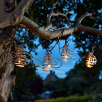 Novelty Outdoor Lighting