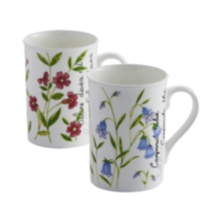 Botanical Assorted Fine China Mugs 30Cl