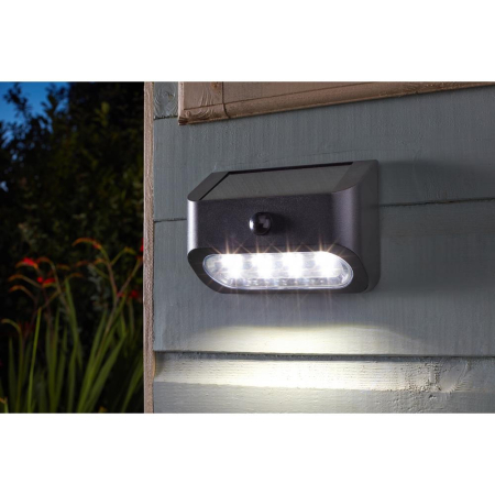 PIR Sentinel Security Light