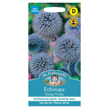 Echinops Globe Thistle Seeds