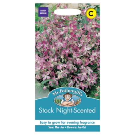 Stock Night Scented Seeds