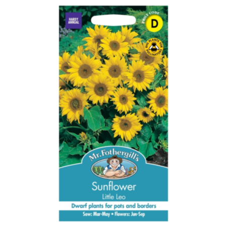 Sunflower Little Leo Seeds