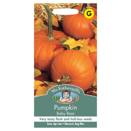Pumpkin Baby Bear Seeds