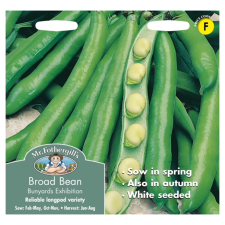 Broad Bean Bunyards Exhibition Seeds