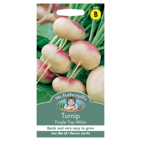 Turnip Purple Top Milan Seeds