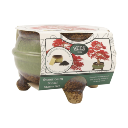 BEES Bonsai Sweet Gum Grow set - Bowl with Legs