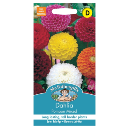 Dahlia Pompon Mixed Seeds