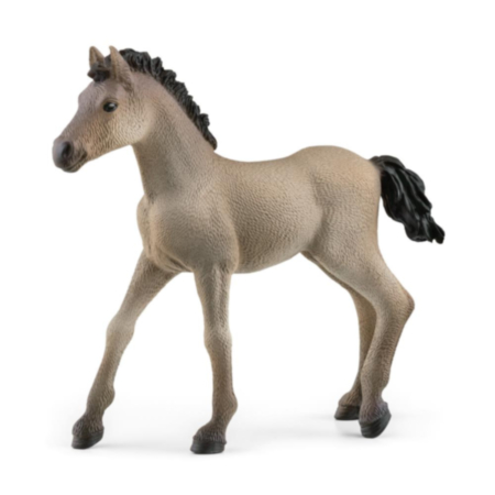 Schleich Criollo Definitivo Foal Figurine