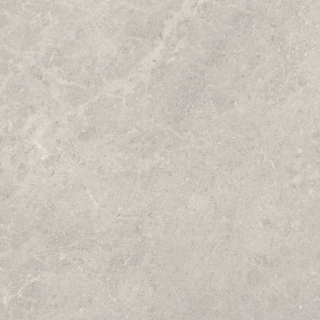 Fossil Grey Polished