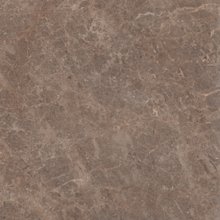 Fossil Walnut Polished