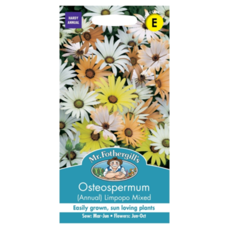 Osteospermum (Annual) Limpopo Seeds