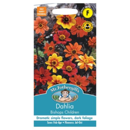 Dahlia Bishops Children Seeds