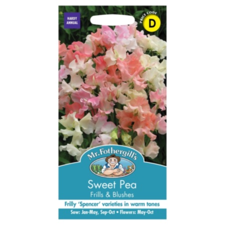 Sweet Pea Frills & Blushes Seeds