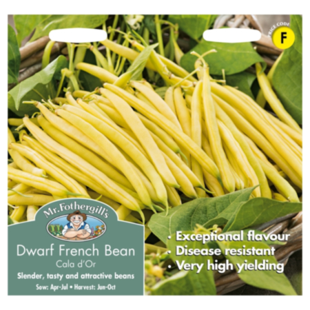 Dwarf French Bean Cala D'or Seeds