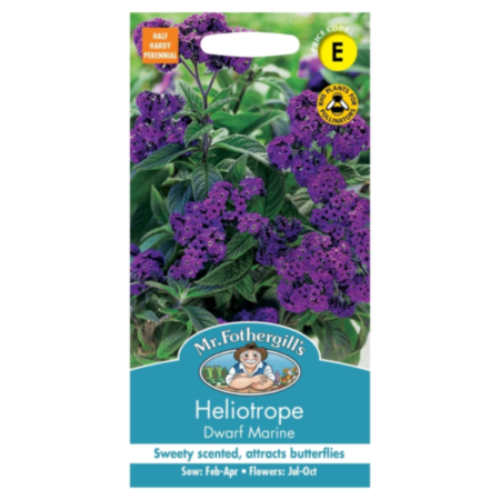Heliotrope Dwarf Marine Seeds