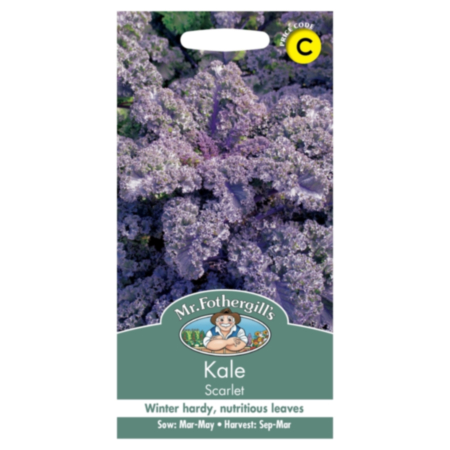 Kale Scarlet Seeds
