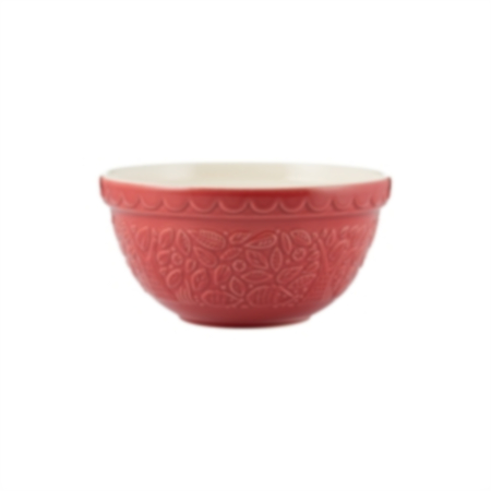 In The Forest S30 H/Hog Red Mixing Bowl 21Cm