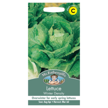 Lettuce Winter Density Seeds