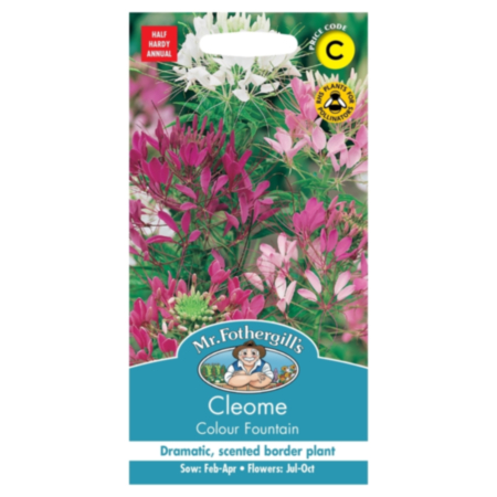 Cleome Colour Fountain Seeds