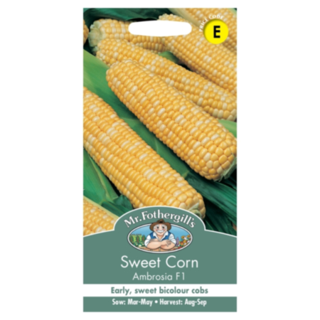 Sweet Corn Ambrosia F1 Seeds