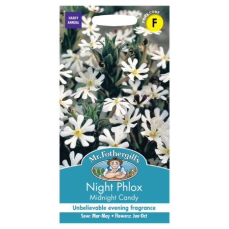 Night Phlox Midnight Candy Seeds