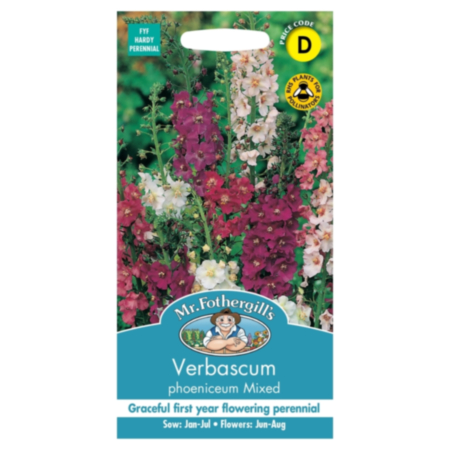 Verbascum Phoeniceum Mixed Seeds