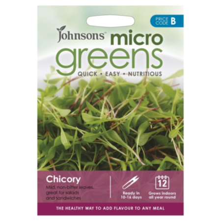 Micro Greens Chicory Seeds
