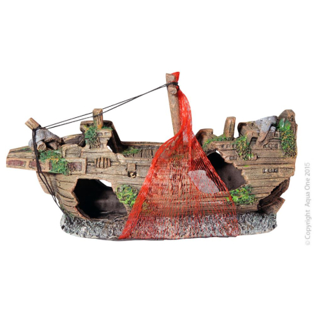 Shipwreck With Net 