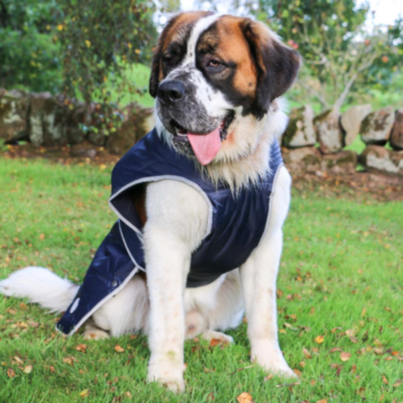 Ancol Stormguard Dog Coat - Navy (XL)