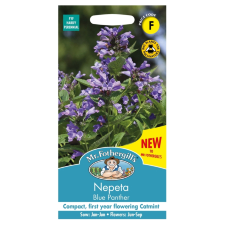 Nepeta Blue Panther Seeds