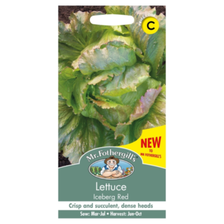 Lettuce Iceberg Red Seeds
