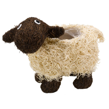 Shelley Sheep