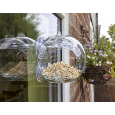 Peckish Globe Window Feeder