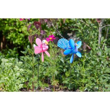 Flamingo & Peacock Stake