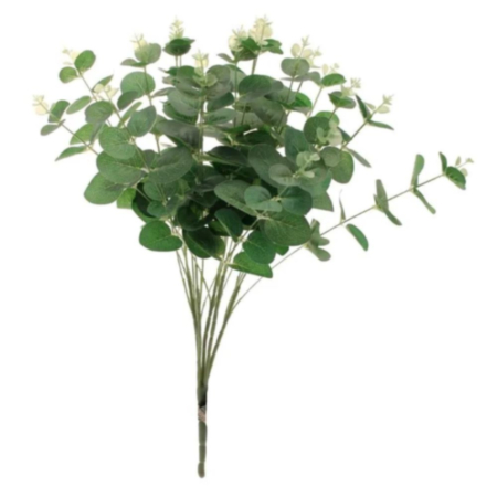 Eucalyptus Bush Green