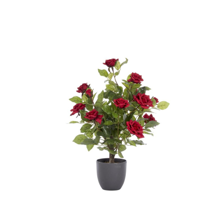 60cm Regent's Roses - Ruby Red
