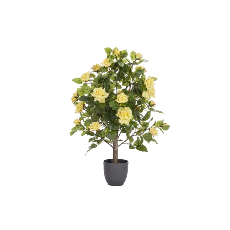 80cm Regent's Roses - Sunshine Yellow