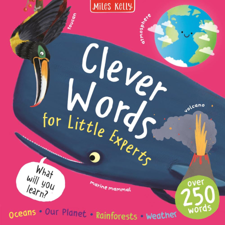 Clever Words For Little Experts (Paperback)