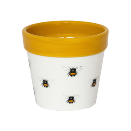 Ivyline Cacti Planter Bumble Bee 7cm