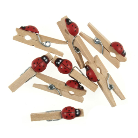 Wooden Pegs with Ladybirds | 8 Pack
