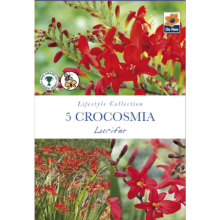 De Ree Crocosmia Lucifer Bulbs