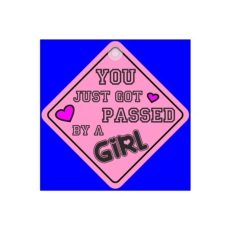 You Just Got Passed By A Girl Diamond Window Hanger