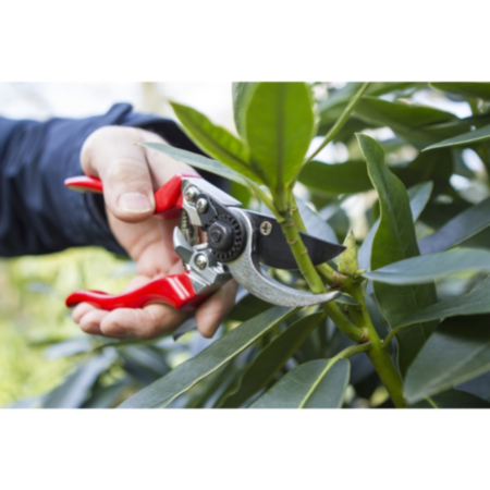 Darlac Professional Left-Handed Pruner