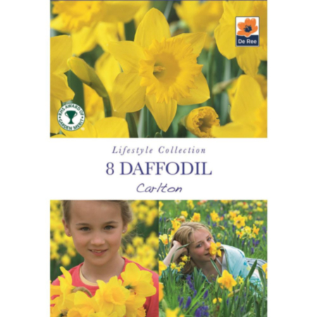 Daffodil Carlton