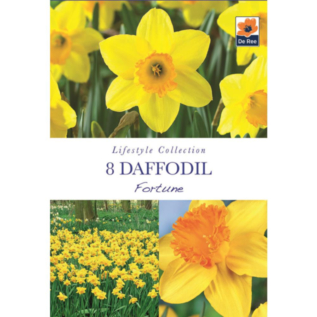 Daffodil Fortune
