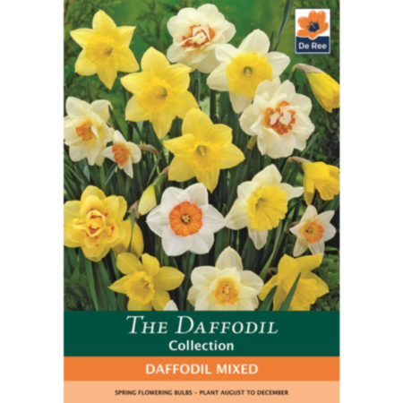 Daffodil Mixed