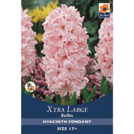 Hyacinth Fondant