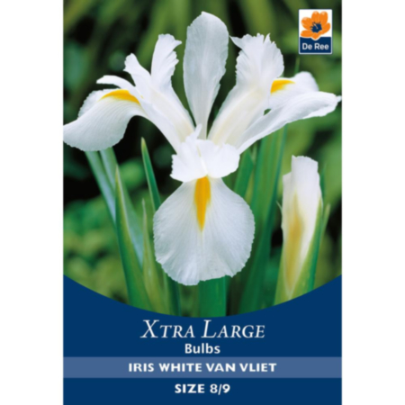 Iris White Van Vliet