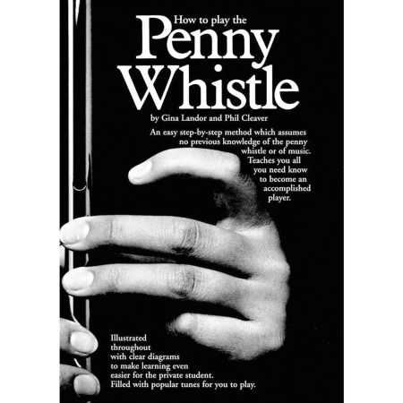 How To Play The Penny Whistle