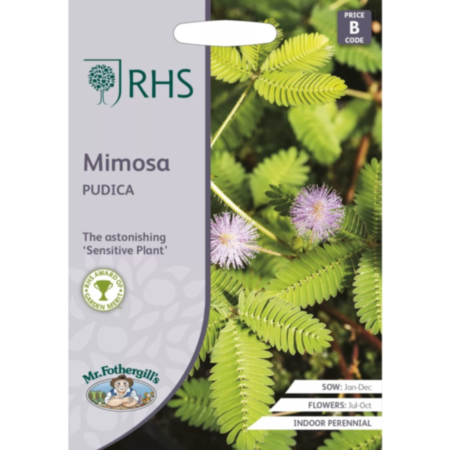 RHS Mimosa Pudica Seeds